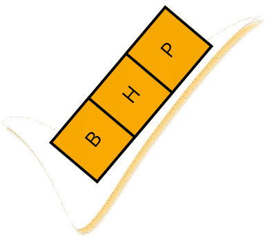BHP check - logo firmy
